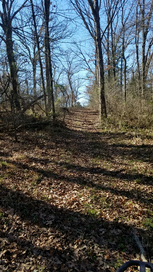 Old Jefferson Highway.gif Old Jefferson Highway.gif